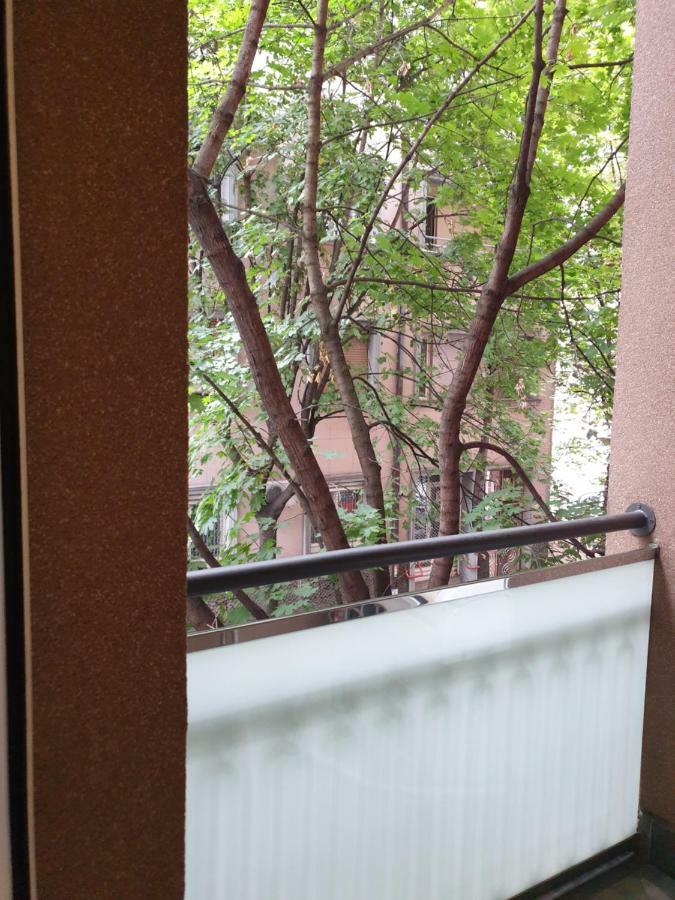 Metropol Lux Apartment Belgrade Vracar Buitenkant foto