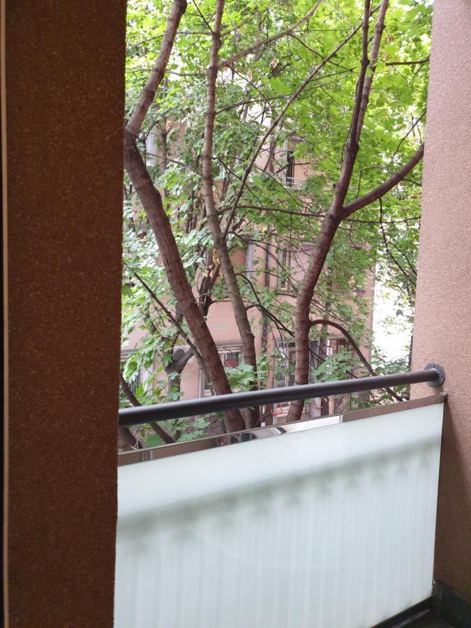 Metropol Lux Apartment Belgrade Vracar Buitenkant foto